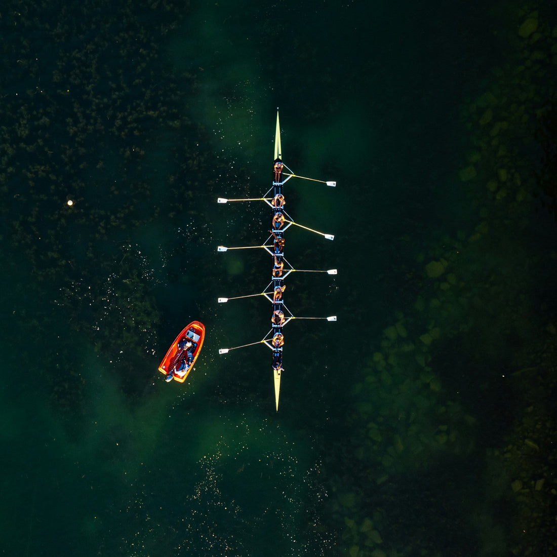 Empowering Hong Kong Rowers: How Motion Rivalry Makes a Difference