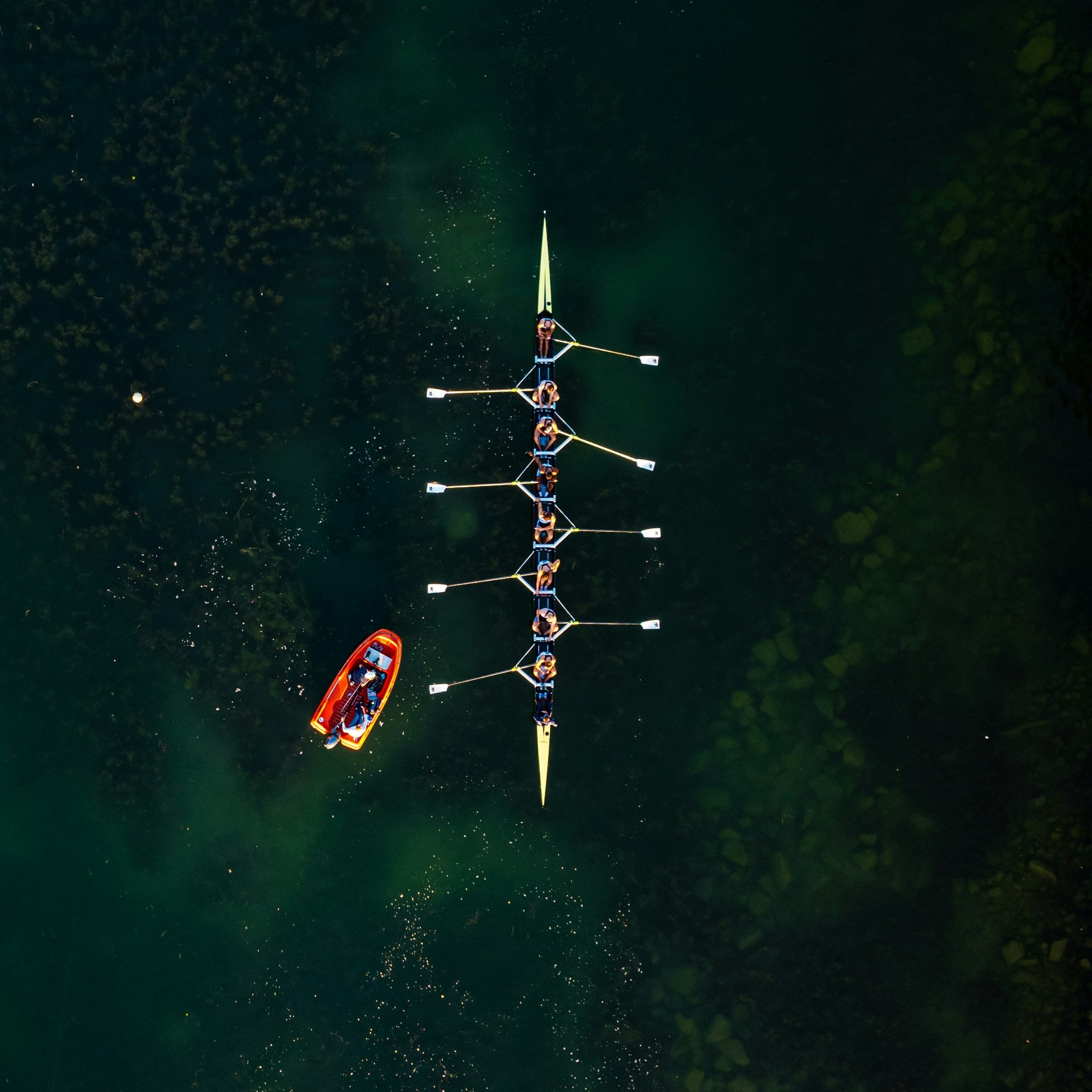 Empowering Hong Kong Rowers: How Motion Rivalry Makes a Difference